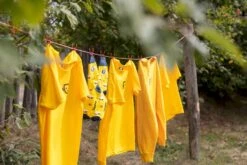 Easy Camp Eclipse 300 Tunneltent - 3 Persoons - Groen -Bo-Camp Winkel 1267 1900 waslijn 1 2