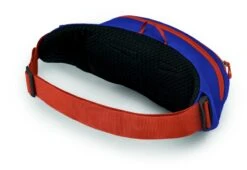 Osprey Daylite Heuptas - Blauw/Oranje -Bo-Camp Winkel 1900 1425 daylitewaist s23 sideback silverliningblueberry 10005144