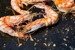 OFYR Kookboek 12 OFYR Kookboek -Bo-Camp Winkel 800 1200 cb no1 nl fr 3