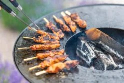 RedFire ONYX Classic Vuurschaal Bbq - 80 Cm 19 RedFire ONYX Classic Vuurschaal Bbq - 80 Cm -Bo-Camp Winkel 85208 lifestyle 06 1