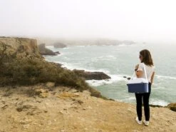 Mobicool MT08 Blauw Autokoelbox - 8 Liter -Bo-Camp Winkel mobicool mt 08 cliff woman 1 resultaat