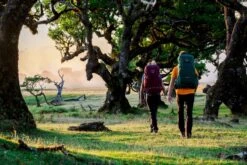 Osprey Renn Backpack - 50 Liter - Paars 29 Osprey Renn Backpack - 50 Liter - Paars -Bo-Camp Winkel osprey rennrook 4